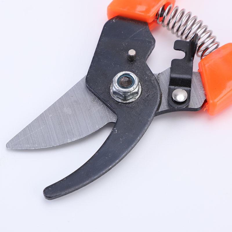 Heavy-Duty Garden Pruning Shears - Fruit, Flower, Branch, and Tree Trimming Scissors