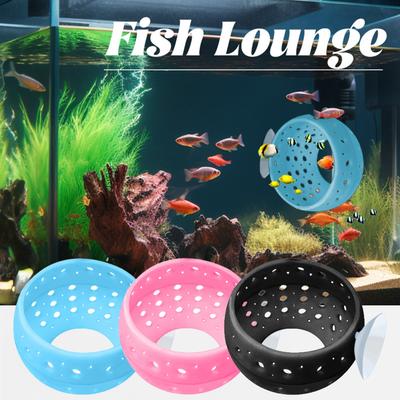 Peces y mascotas acuáticas – Decoración de peceras