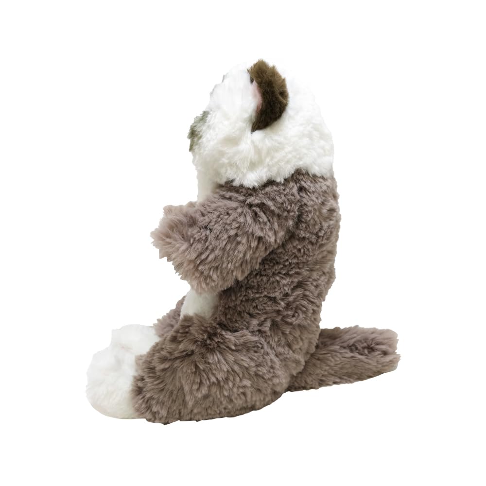 Sun Lemon Sleeping Lap Small Ragdoll 15 X 12 X Plush Cute Cat, GYBR, 34cm, Animal, Cat, P-1583