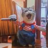 Cat Costume Dog Halloween Cosplay Costumes For Small Medium Dog Cats Funny Party Creative Novelty Puppy Kitten Clothes Yorkies Pet Coat