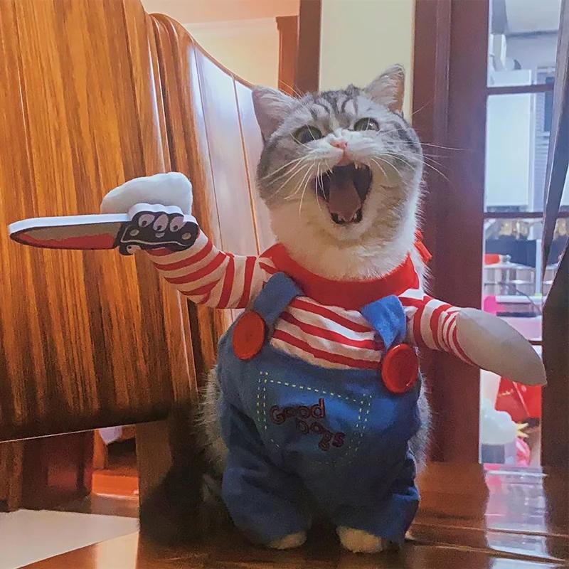 Cat Costume Dog Halloween Cosplay Costumes For Small Medium Dog Cats Funny Party Creative Novelty Puppy Kitten Clothes Yorkies Pet Coat