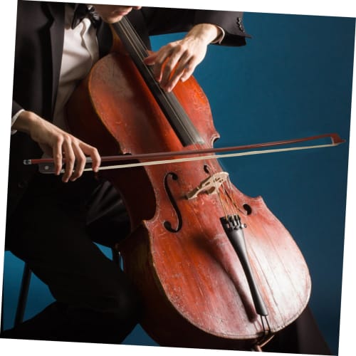 ULDIGI Cello Bow, Tororoche, Musical Bow, Tuner, Cello Stand, Cecilio, Cello Accessories, Selection Subjects, Horsetail Hair, Child, Guitar