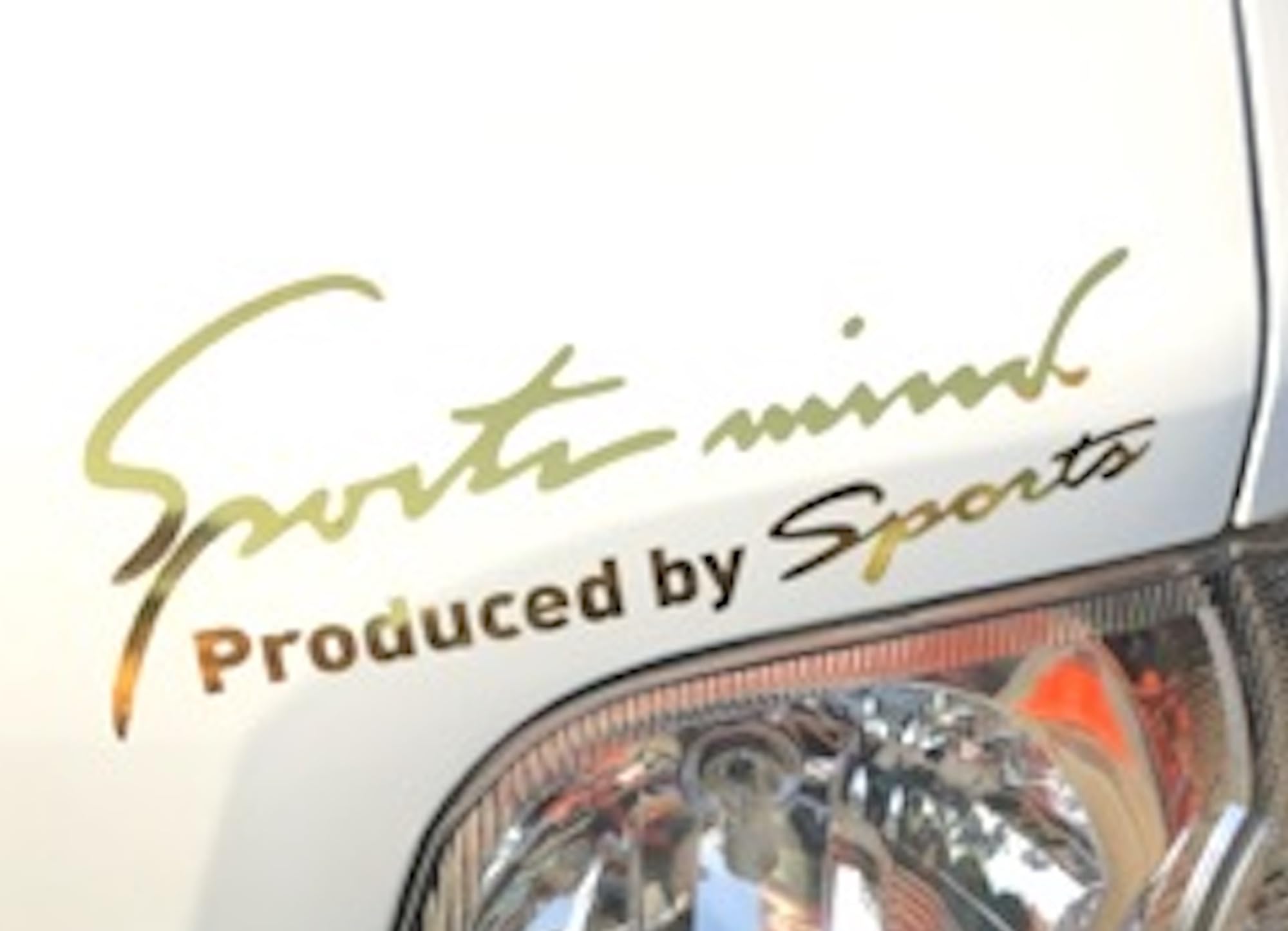 

Sports Mind Sticker for Cars and Motorcycles, Decal, Universal, Side, Vehicle Customization, 8 Colors, SS size 14 x 4.8cm золотой