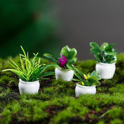 Modelli di Piante Miniature di Piante in Vaso Simulate Finite Arte Rotonda Paesaggio Micro-paesaggio Ornamenti