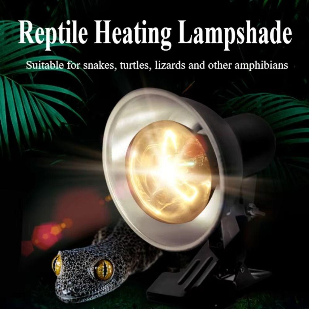 Clip-on Lamp Holder Turtle Basking Lamp Thermostat Vivarium Reptile Heat Lamp Reptiles Basking 75W Pet Heat Bulb