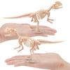 Dinosaur Skeleton Fossil Assembly Kit, T-Rex Ceratosaurus Dilophosaurus Dig Archaeology Toy
