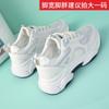 Single Net Breathable Sports Shoes Summer New Dad Shoes Women's Shoes Casual Shoes Daily Trend Shoes