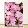 Wall Art Picture For Living Room Home Decoration Canvas Painting Nordic Decor Elegant Peony Flower Phrase Poster And Print