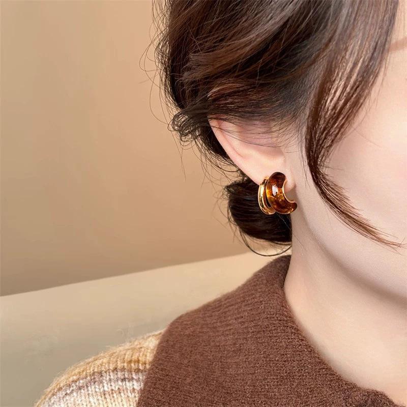 Retro autumn and winter coffee earrings women's niche design high-end stud earrings temperament versatile commuting fashionable earrings