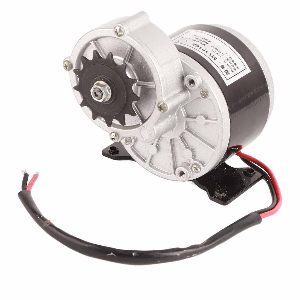 DC Brushed Motor 12V 250W 13 Tooth Reducer Motor for Electric Bikes Small Motorcycles Agricultural