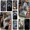 Telefon kapları – Smartphone Bumper Kılıflar