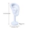 Realistic Ear-Shaped Earring Display Stand Suitable for Dresser - Freestanding Ear Organizer with Ear for Earrings Storage