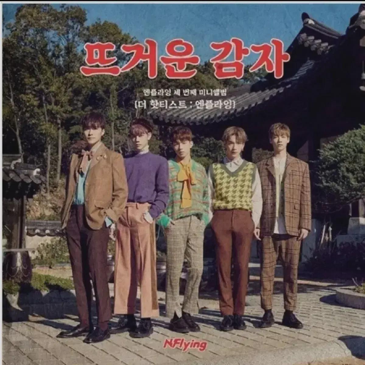 

N.flying Альбом CD Горячая картошка