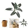 Friendly Artificial Alocasia Odora Leaf Plant With Handwoven Basket For Living Room Or Office Space