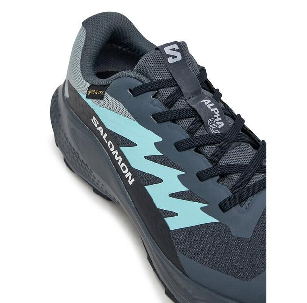 Salomon Alphaglide Gore-Tex Running Shoes