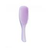 Wet deTangler Fine And Fragile Hypnotic Header
