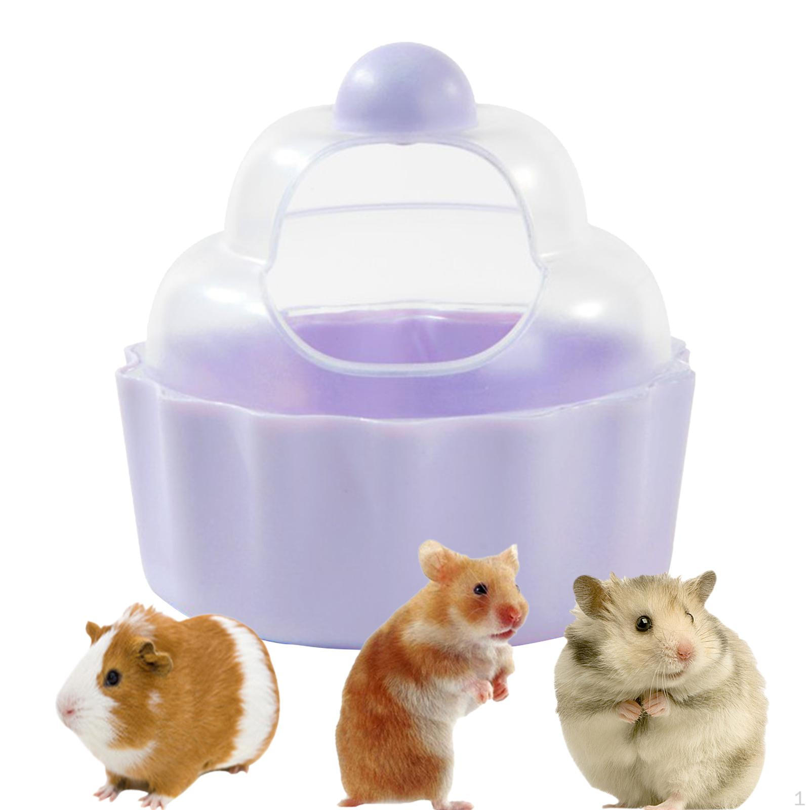 Cozy Retreat for Small Pets - Sand Bath Container Hamsters and Gerbils