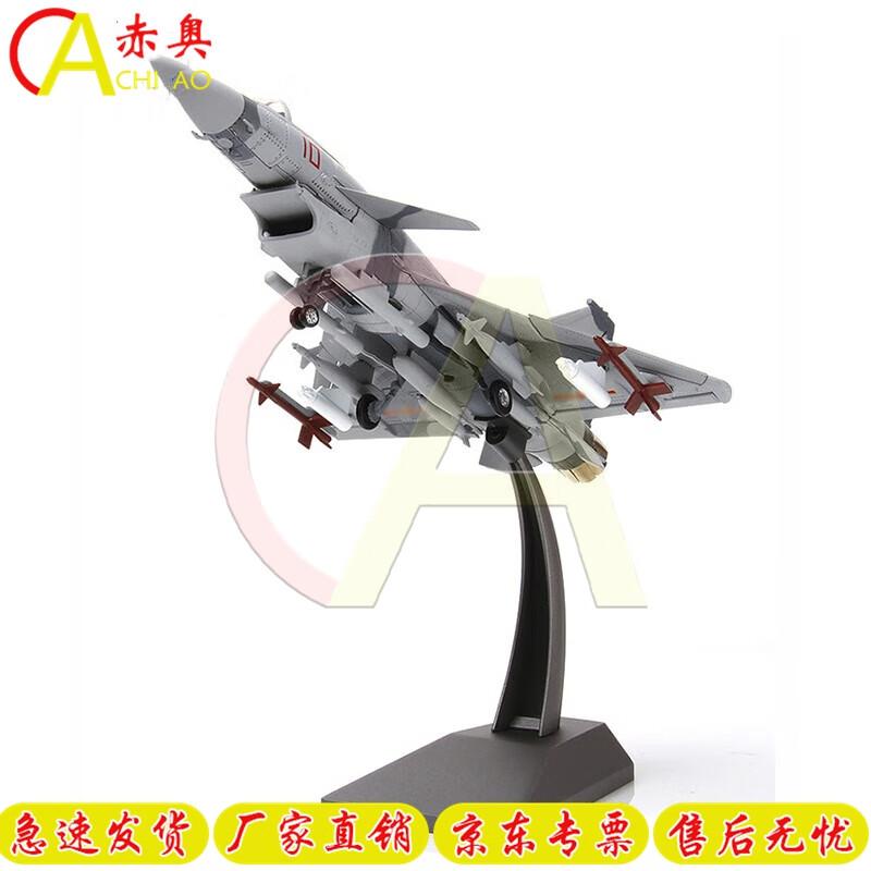 J-10 Fighter Jet Scale Model