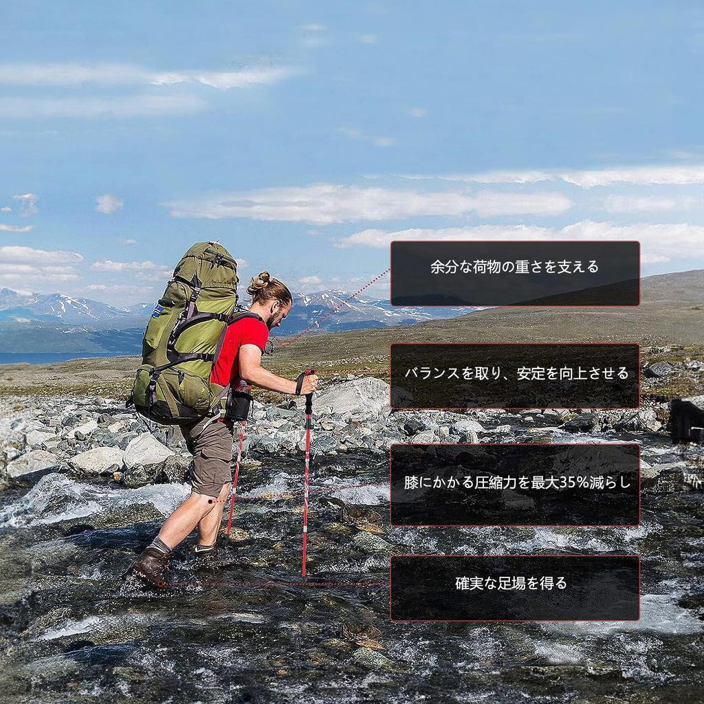 BISINNA Folding Trekking Poles, Lightweight, Set of 2, Compact Aluminum, Adjustable Length, 5-Section Telescopic, Unisex, for Hiking, Outdoor