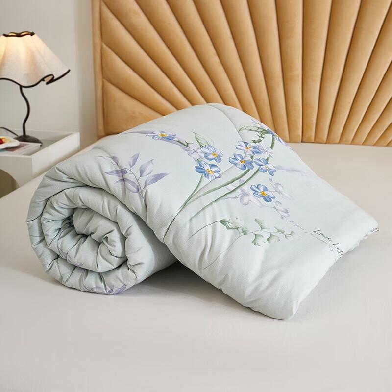 Beijiaman Lavender Soybean Skin-Friendly Winter Quilt