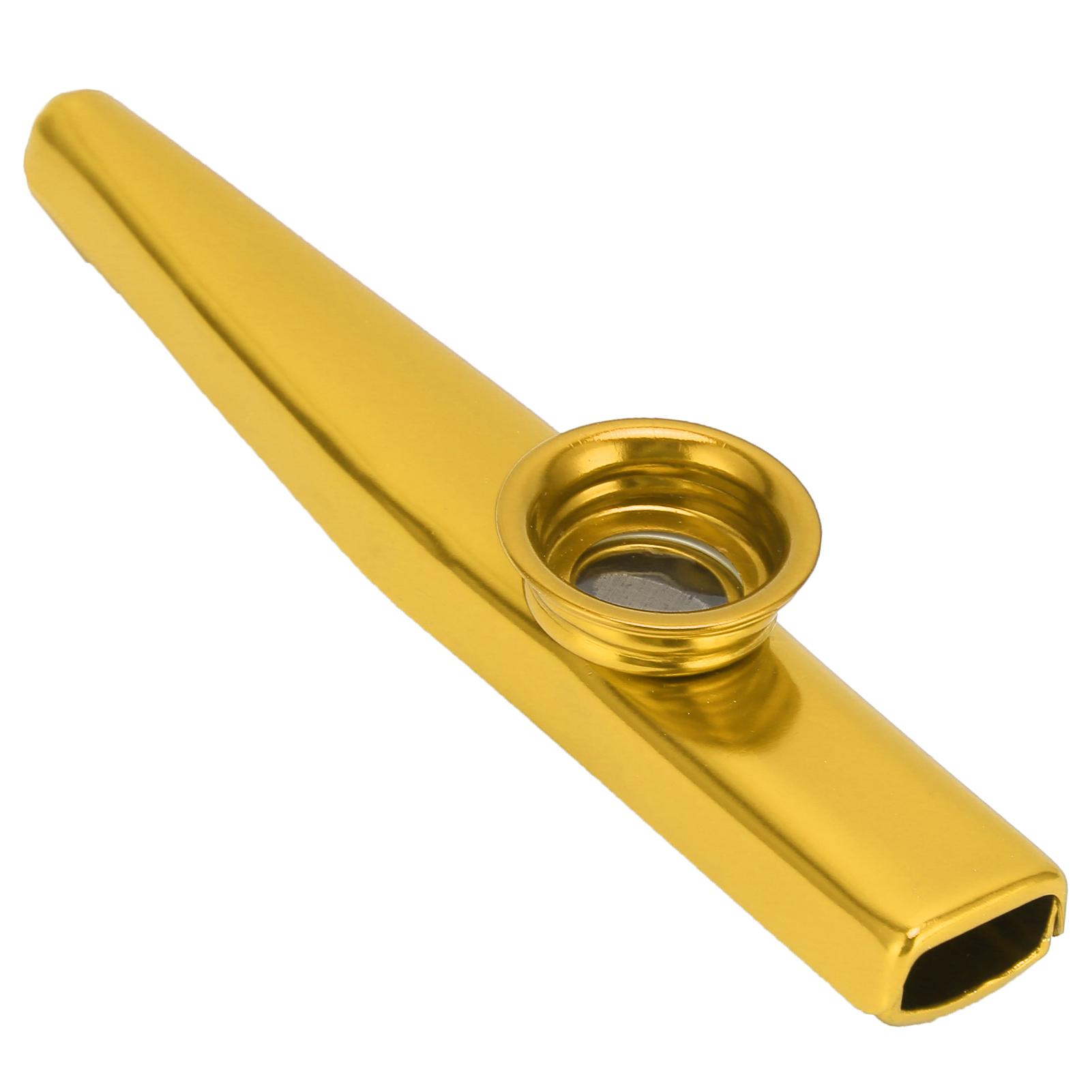Kazoos Muziekinstrumenten Mondspiertraining Uitspraak Kazoo voor Muziekliefhebbers