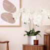 8 Köpfe künstliche Schmetterlingsorchidee Blume für Haus Zimmer Garten Dekoration DIY Hochzeitsstrauß Real Touch Seide Phalaenopsis Pflanze