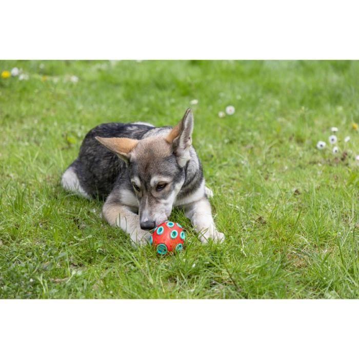 Jouet pour chien - kerbl - rugby toyfactic - turquoise/rouge - 12x7,5 cm - résistant