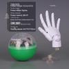 Mini 1/2 Scale Gashapon Palm Model: Super Movable Finger Joints - Left & Right Hands for Drawing & Sketching