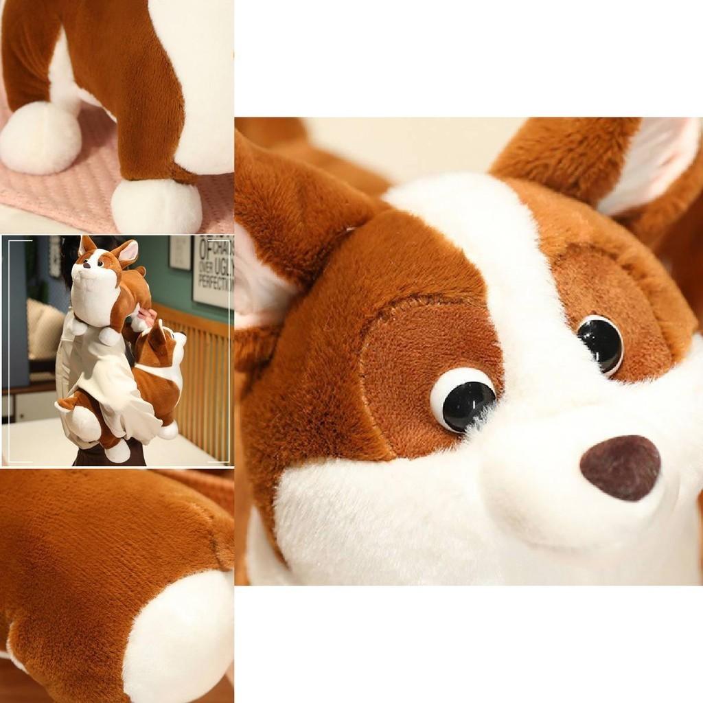 Cute Plush Corgi Dog Toy Soft And Huggable Stuffed Animal For Kids And Pets Brown And White Color 23cm