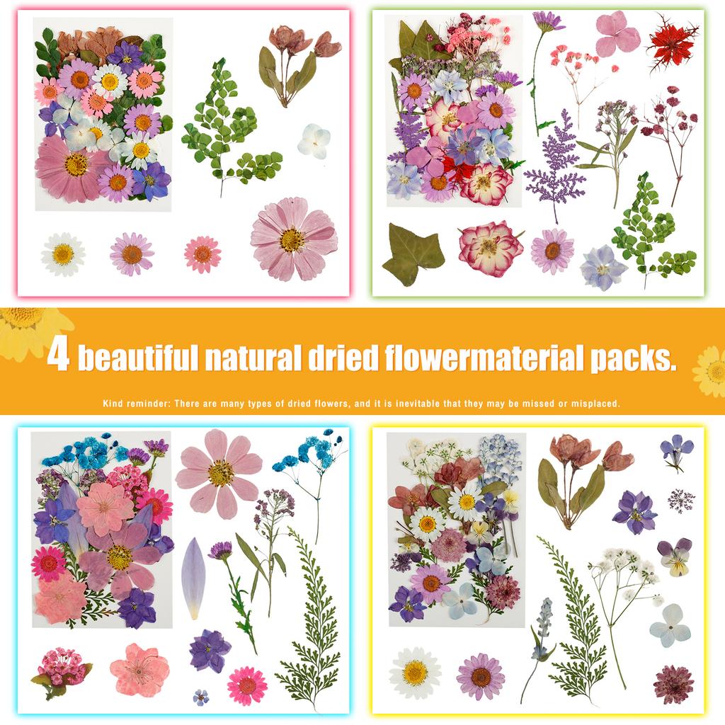 90Pcs Dried Pressed Flowers for Resin Molds Colorful Real Pressed Flowers Natural Dry Pressed Flowers Beautiful Dried Flower DIY