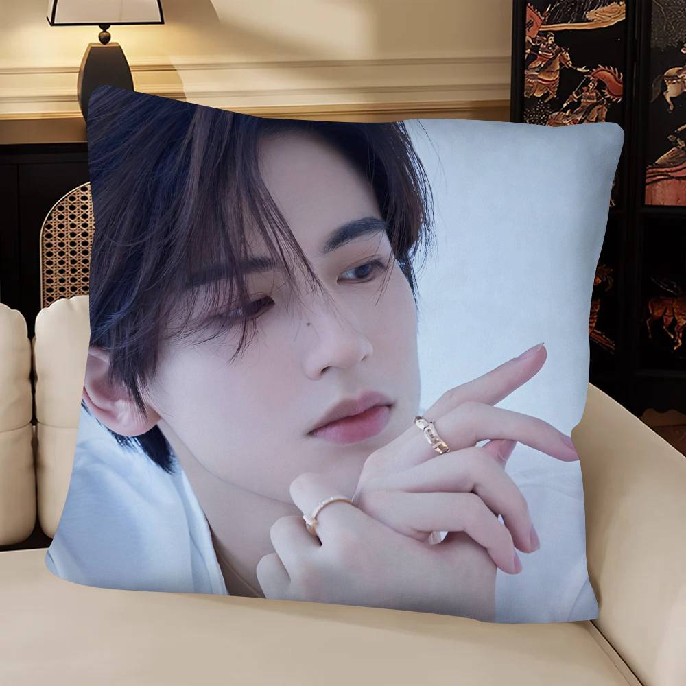 Actor ZhangLingHe Pillow Case Fashion Square Pillowcase Bedroom Sofa Room Ins Decoration Leisure