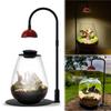 Micro Landscape Plant Growth Lamp with Timmer Full Spectrum Plant Lamp Height Adjustable for Desktop Glass Plant Terrarium