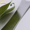 GS8 Car Door Handle Bowl Protective Film - Anti-Scratch, Wear-Resistant for 20 Models