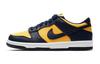 Dunk Low Michigan 2021/2024 GS CW1590-700