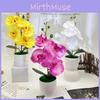 Phalaenopsis Potted Artificial Plant Silk Fabric Material Props Photography