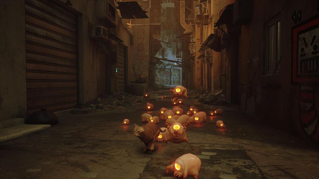 Stray North Switch (Imported version America) –