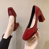 2025 new spring autumn casual high-heeled shoes woman sexy ladies thick heels platform pumps black red pink women shoes WSH3187