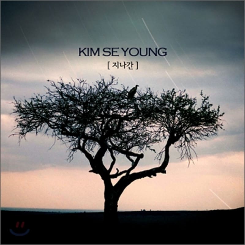 

Kim Se-young - Vol.3 Past..