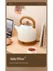 Automatic Shut-Off Electric Kettle - Stainless Steel Insulated Hot Water Kettle for Home Use