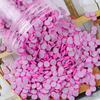 Craft Factory Sale 5mm Resin Polymer Clay Fruit Slices DIY Accessories for Nail Art Decoration Use As Souvenir Style Artificial
