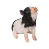 Ubia sitzend schwarz-weiß Pfirsichschwein schauend 19 x x 15 Garten hoch, 8,3 cm, Figur, Tier, Dekor, Schwein, H21021-6