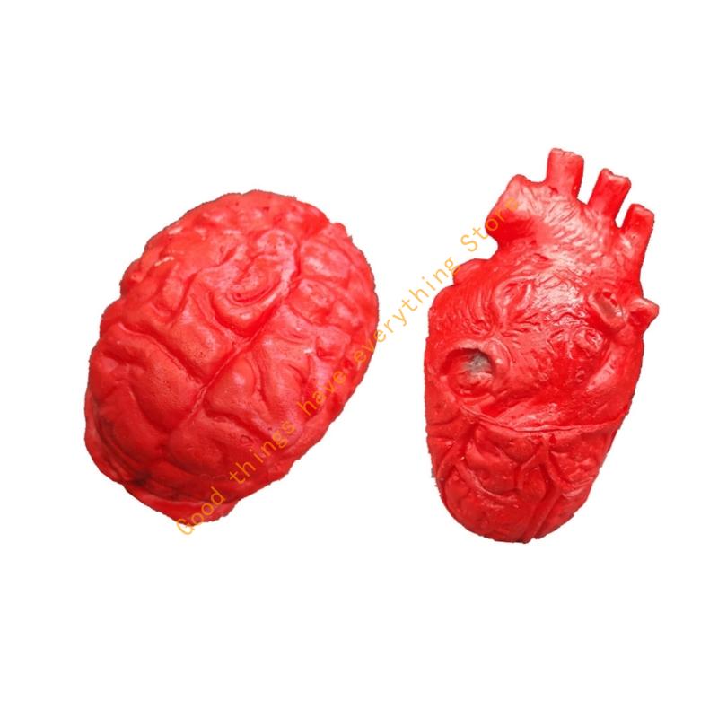 55KF Silicone Heart Brains Models Squeeze Toy For Horror Party or Classroom Demonstrations Organ Ornaments