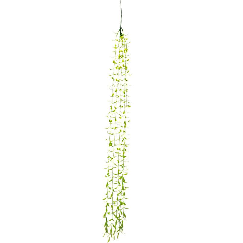 Green Babylonica Salix Plant For Home Event Decoration And Props Photography