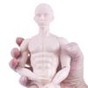 Unbemalte männliche Puppe Nackter Körper Figur Schaufensterpuppe für Bastelmodell Projektpuppe Actionfigur für Kugelgelenkpuppe