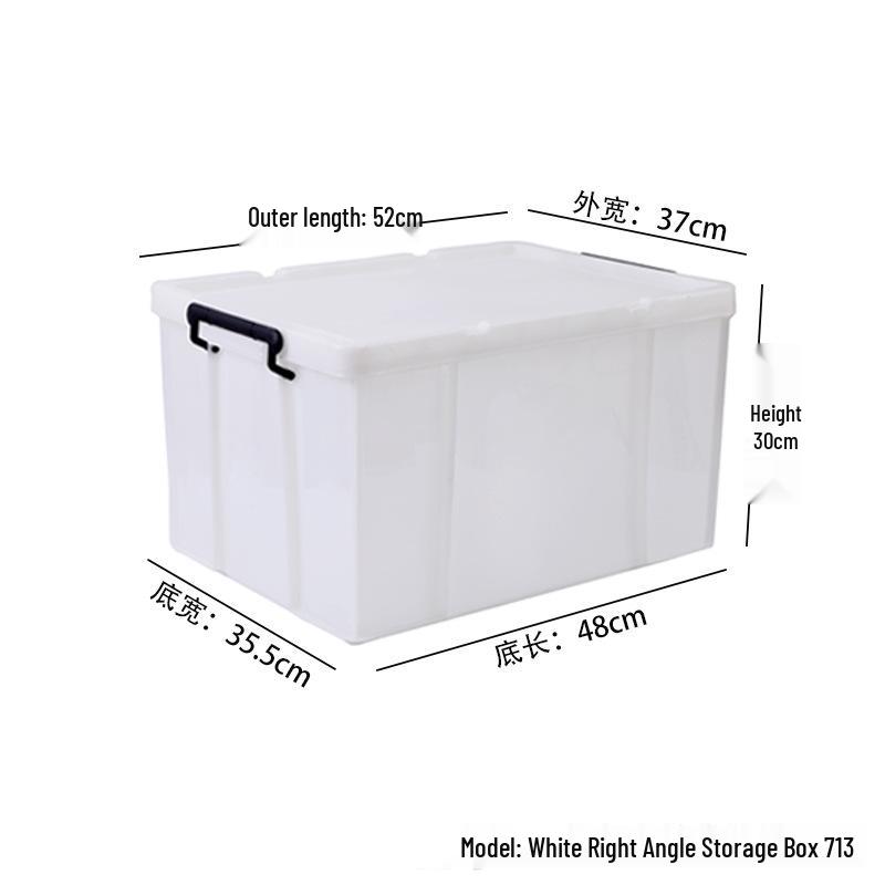 Large Transparent Handheld Food-Grade Storage Box