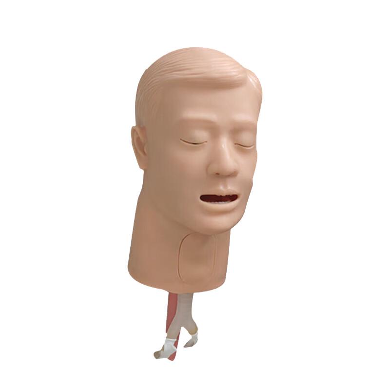 Junnup Tracheal Intubation and Tracheotomy Training Model