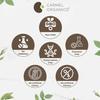 CARMEL ORGANICS Bacopa Monnieri 340 Grame Pudră | Supliment pe bază de plante pentru concentrare, memorie și ameliorarea stresului | Non-OMG | Neer Brahmi