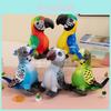 Adorable Plush Parrot Doll Realistic Animal Toy For Kids Boys And Girls Gifts