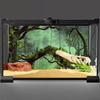 AWERT 72x18 Inches Foggy Forest Terrarium Background Stone Green Tree Tropical Reptile Habitat Background Rainforest Aquarium Background Durable