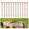 12pcs Tree Killer Nails 4-inch Copper Nails For Killing Trees Stump Root,Stump Removal Spikes Hardware Garden Hand Tools